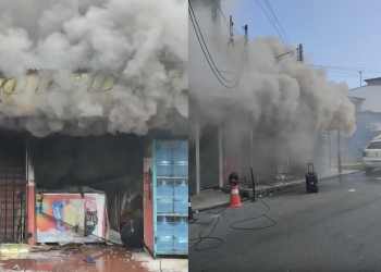 Vídeos: Cachorros morrem durante incêndio no mercadinho ‘Pé de Pano’, no São José