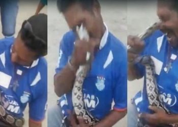 Vídeo: cobra dá bote no nariz de gaiato que tentou fazer graça com ela no interior do Amazonas