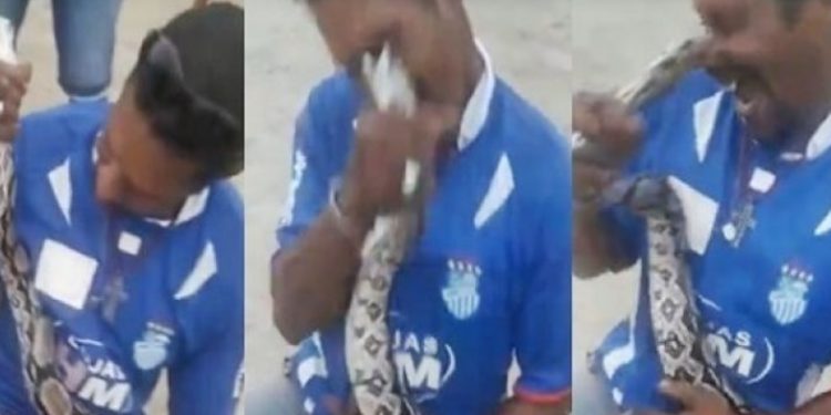 Vídeo: cobra dá bote no nariz de gaiato que tentou fazer graça com ela no interior do Amazonas