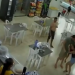 Vídeo: Atendente ap@nha após cliente se negar a pagar R$ 20 pela cerveja