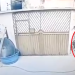 Veja momento em que ‘Maca’ é ex3cutad0 por encapuzados enquanto fazia xixi no Coroado; vídeo
