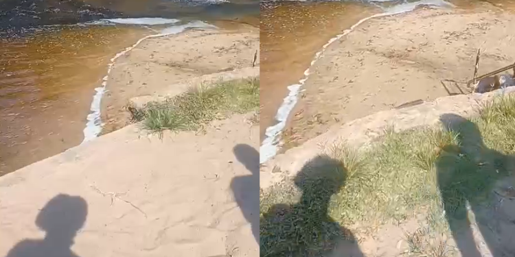 Vídeo: Em Presidente Figueiredo, apaixonados em plena luz do dia fazem ‘filme adulto’