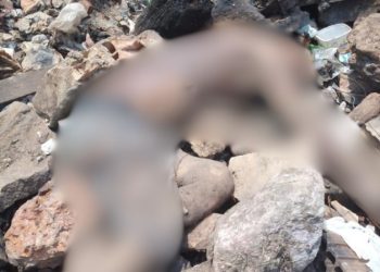 Veja o momento em que c0rpo é achado em Manacapuru: ‘f@c@d@ considerada’