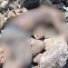 Veja o momento em que c0rpo é achado em Manacapuru: ‘f@c@d@ considerada’