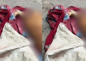 Cãozinho é m0rto com tir0 na cabeça por marido violent0 em Manaus