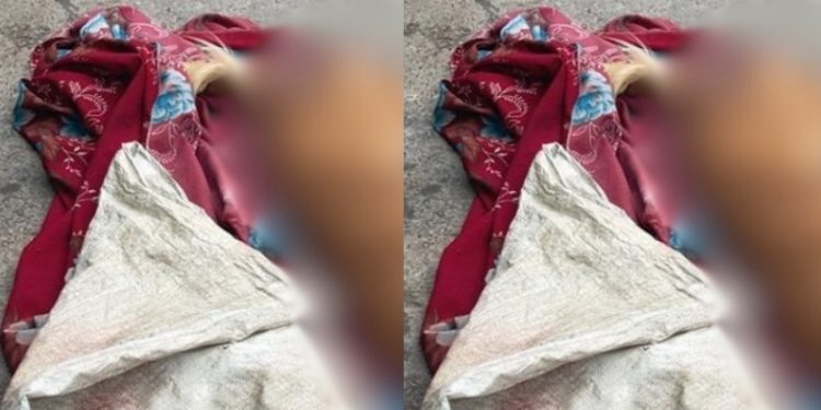 Cãozinho é m0rto com tir0 na cabeça por marido violent0 em Manaus