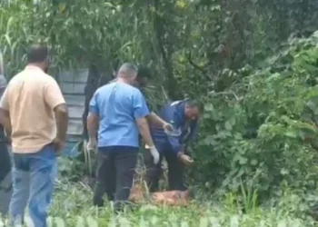 Suposto ‘Jack’ é encontrado ‘c0tó’ sem os braços e m0rt0 no Adrianópolis