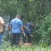 Suposto ‘Jack’ é encontrado ‘c0tó’ sem os braços e m0rt0 no Adrianópolis