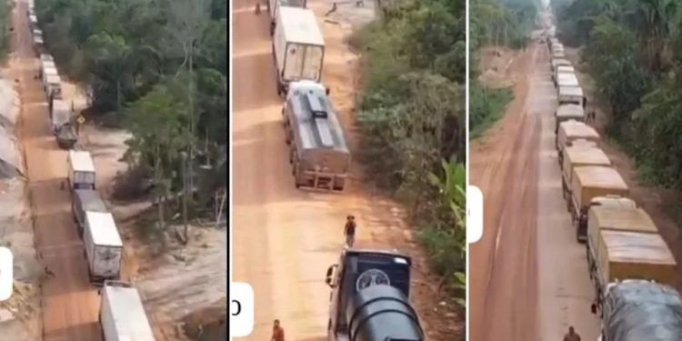 Vídeo: fila de caminhões na BR-319 escancara isolamento do Amazonas na estiagem