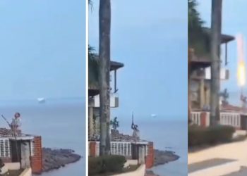 Vídeo: Ibama multa em R$ 100 mil homem que disparou fogos em pássaros no AM