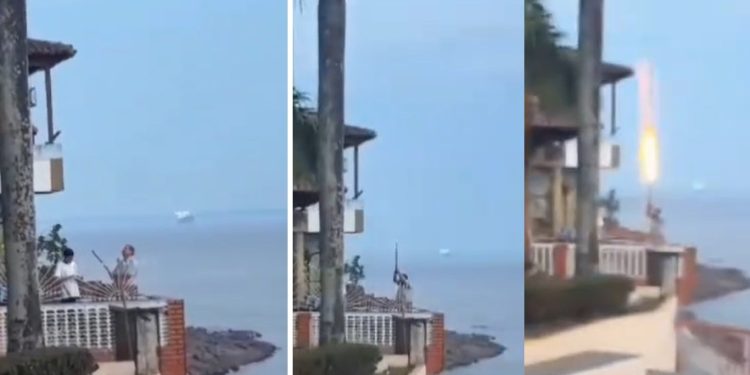 Vídeo: Ibama multa em R$ 100 mil homem que disparou fogos em pássaros no AM