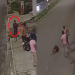 Vídeo: C0vardes bêbados agridem idoso com Doença de Alzheimer em Manaus