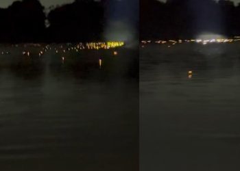 Veja como fica o rio no Amazonas à noite, quando está cheio de jacarés