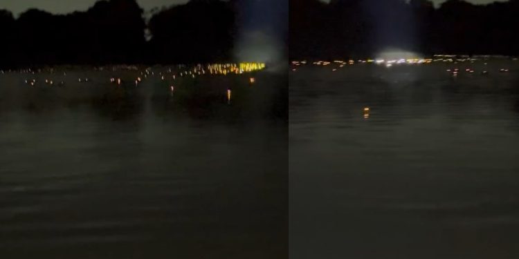 Veja como fica o rio no Amazonas à noite, quando está cheio de jacarés