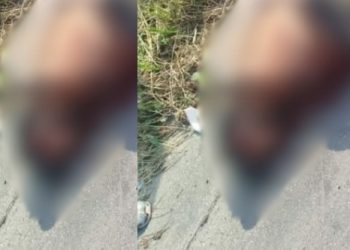 Vídeo: homem que trabalhava em obra é sequesrtrad0, amarrad0 e m0rt0 em Manaus