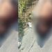 Vídeo: homem que trabalhava em obra é sequesrtrad0, amarrad0 e m0rt0 em Manaus