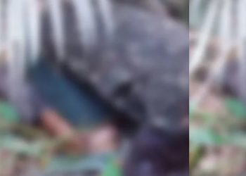 Homem é achado m0rto de joelhos no ramal Água Branca em Manaus