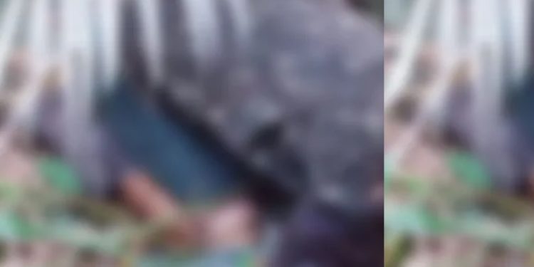 Homem é achado m0rto de joelhos no ramal Água Branca em Manaus