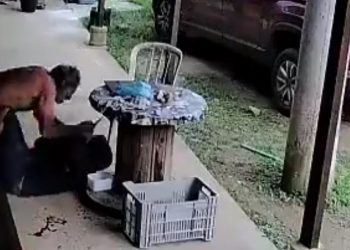 Vídeo: idoso reage a assalto e acaba m0rto por bandido no sítio 