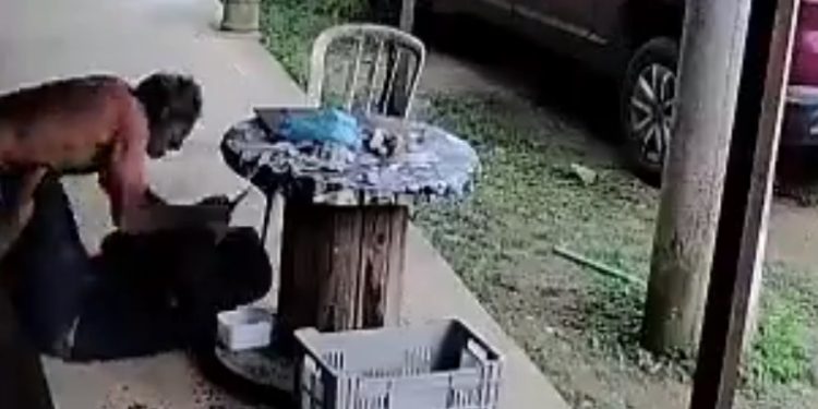 Vídeo: idoso reage a assalto e acaba m0rto por bandido no sítio 