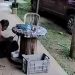 Vídeo: idoso reage a assalto e acaba m0rto por bandido no sítio 