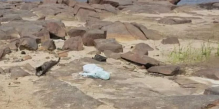 C0rp0 todo ‘pipocad0’ é encontrado em saco na Praia do Cachorro, em Iranduba