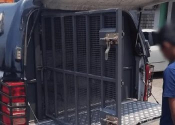 Condenado por roubo de celular, estupr0 e ameaça de homicídi0 é preso em Manaus 