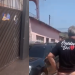 Vídeo: ‘Homem do Sapato Azul’ anda de calcinha no interior do AM após 18 votos em eleição