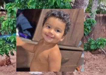 Bebê de 1 ano e 6 meses morre após ataque de pitbull enquanto brincava no quintal