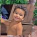 Bebê de 1 ano e 6 meses morre após ataque de pitbull enquanto brincava no quintal