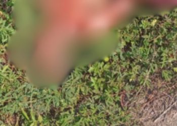 Homem esfaqu3ado até a mort3 é achado em área de mata na zona oeste de Manaus