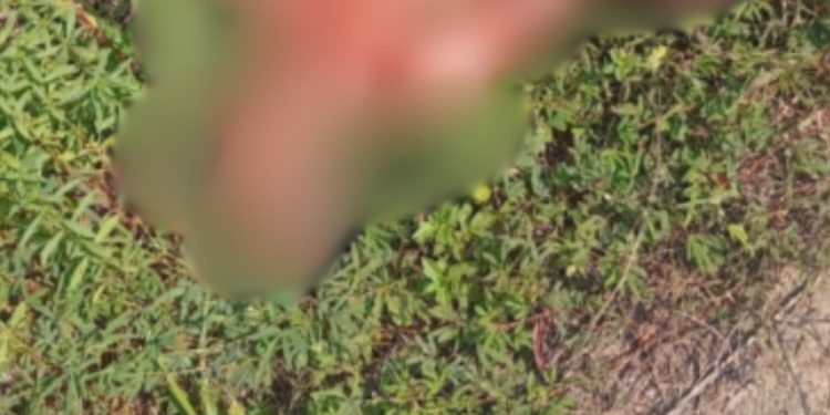 Homem esfaqu3ado até a mort3 é achado em área de mata na zona oeste de Manaus