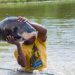 Tambaqui e mais 9 peixes têm pesca proibida no Amazonas até 2025