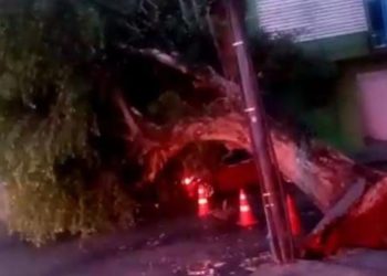 Mais de 10 bairros ficam sem energia após forte de chuva de madrugada em Manaus