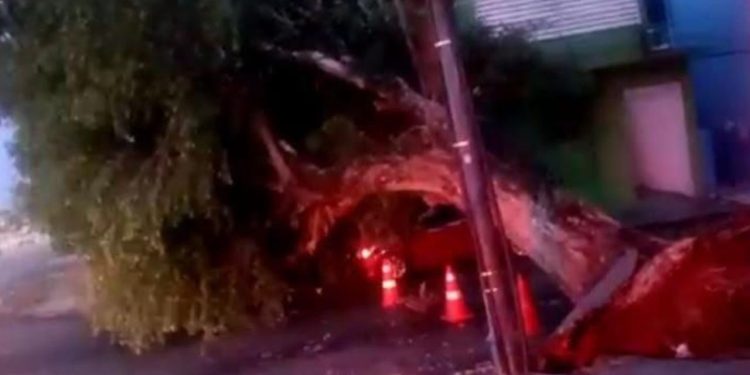 Mais de 10 bairros ficam sem energia após forte de chuva de madrugada em Manaus