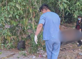 Vídeo: Corpo podre é achado em área de mata na zona oeste de Manaus