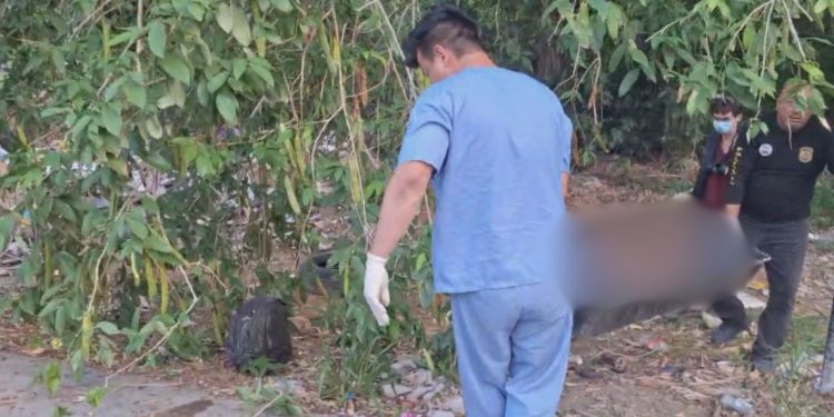 Vídeo: Corpo podre é achado em área de mata na zona oeste de Manaus