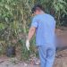 Vídeo: Corpo podre é achado em área de mata na zona oeste de Manaus