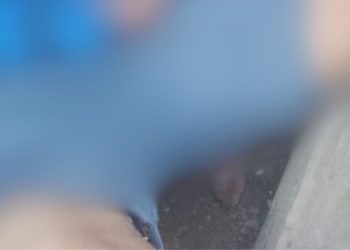 Velho conhecido da polícia, vulgo 'Caco' morr3 a t1ros por homem desconhecido no Amazonas