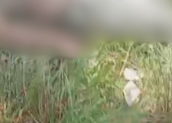 Vídeo forte: Com a neta de 1 ano no colo, idosa fica em estado grave após ser atr0pel@da