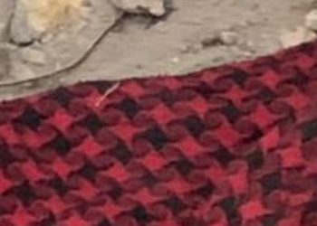 Veja a foto: Homem é t0rtur@do até a m#rt3 na zona leste de Manaus