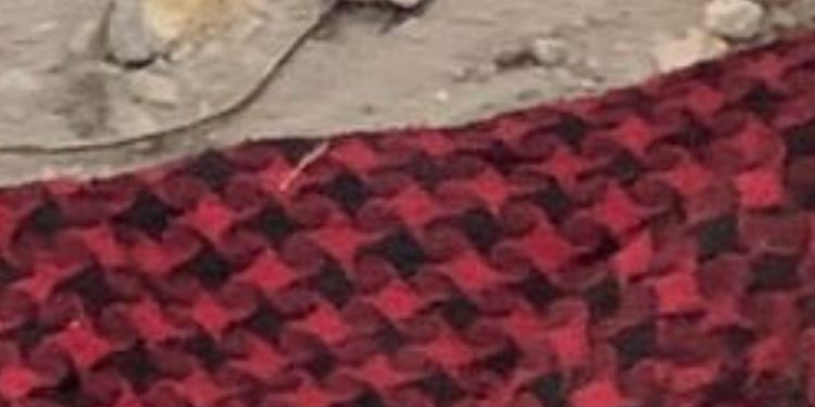 Veja a foto: Homem é t0rtur@do até a m#rt3 na zona leste de Manaus