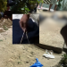 Vídeo mostra morador de olho em cordão de m0rt0 na Zona Leste de Manaus; veja