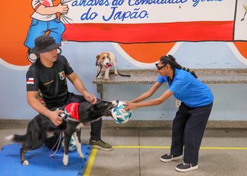 Terapia com cães policiais auxiliam no desenvolvimento social e cognitivo de crianças e adultos no Amazonas