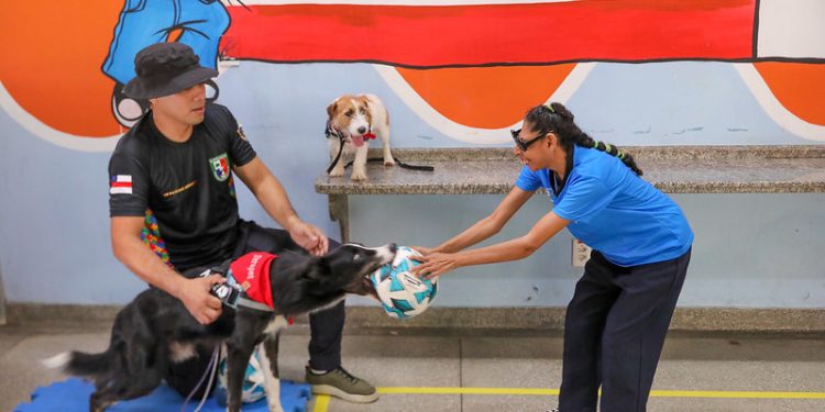 Terapia com cães policiais auxiliam no desenvolvimento social e cognitivo de crianças e adultos no Amazonas