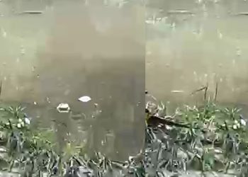 Vídeo: homem m0rre no Igarapé do Mindu e fica parecendo um Zumbi em Manaus