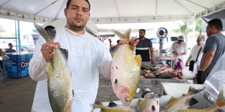 Feirão do Pescado e Feira de produtos regionais ganham edição especial em Manaus