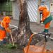 Prefeitura mantém serviços essenciais funcionando em Manaus neste feriado