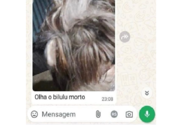 Insensível: Homem m*ta cachorra da ex-namorada e manda foto para ela no Amazonas