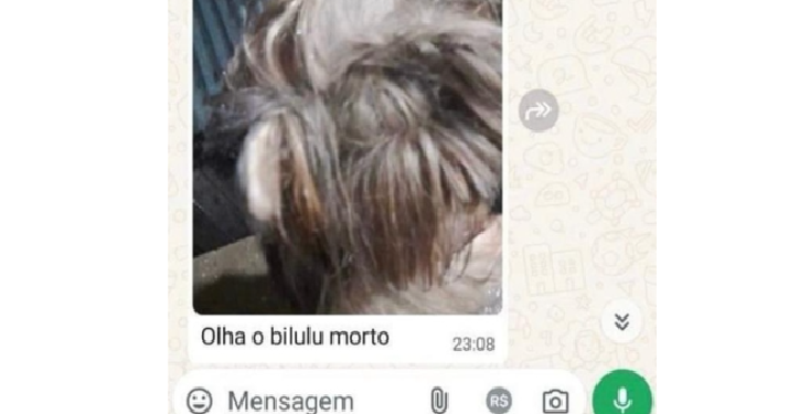 Insensível: Homem m*ta cachorra da ex-namorada e manda foto para ela no Amazonas
